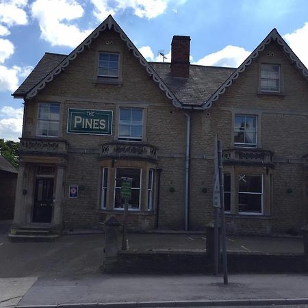 The Pines Guest Accommodation Chippenham  Exterior foto